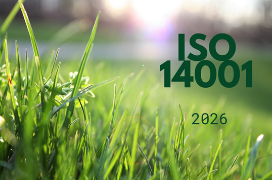 Une image contenant herbe, plante, plein air, vertLe contenu généré par l’IA peut être incorrect.